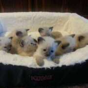 ヒメ日記 2025/05/14 08:20 投稿 みやこ 奥様の実話 梅田店