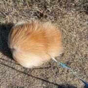 ヒメ日記 2025/05/22 10:35 投稿 みやこ 奥様の実話 梅田店