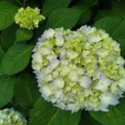 ヒメ日記 2025/05/24 10:17 投稿 みやこ 奥様の実話 梅田店