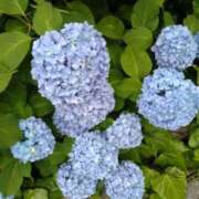 ヒメ日記 2025/06/03 22:06 投稿 みやこ 奥様の実話 梅田店