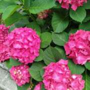 ヒメ日記 2025/06/07 10:10 投稿 みやこ 奥様の実話 梅田店