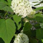 ヒメ日記 2025/06/14 08:23 投稿 みやこ 奥様の実話 梅田店