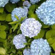 ヒメ日記 2025/06/20 10:01 投稿 みやこ 奥様の実話 梅田店