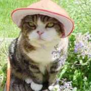 ヒメ日記 2025/06/21 09:07 投稿 みやこ 奥様の実話 梅田店