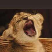 ヒメ日記 2025/07/10 14:41 投稿 みやこ 奥様の実話 梅田店