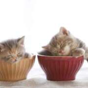 ヒメ日記 2025/07/14 08:41 投稿 みやこ 奥様の実話 梅田店