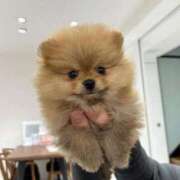 ヒメ日記 2025/07/17 13:47 投稿 みやこ 奥様の実話 梅田店