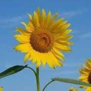 ヒメ日記 2025/07/20 09:37 投稿 みやこ 奥様の実話 梅田店