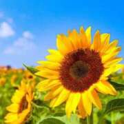 ヒメ日記 2025/08/01 10:03 投稿 みやこ 奥様の実話 梅田店