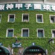 ヒメ日記 2025/08/09 10:17 投稿 みやこ 奥様の実話 梅田店