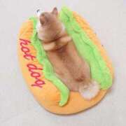 ヒメ日記 2025/08/17 08:26 投稿 みやこ 奥様の実話 梅田店