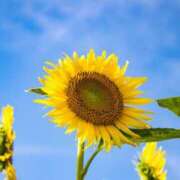 ヒメ日記 2025/08/18 10:17 投稿 みやこ 奥様の実話 梅田店