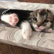 ヒメ日記 2025/08/22 12:28 投稿 みやこ 奥様の実話 梅田店