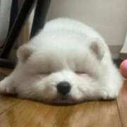 ヒメ日記 2025/09/02 10:33 投稿 みやこ 奥様の実話 梅田店