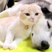 ヒメ日記 2025/09/05 11:55 投稿 みやこ 奥様の実話 梅田店