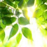 ヒメ日記 2025/09/10 11:44 投稿 みやこ 奥様の実話 梅田店