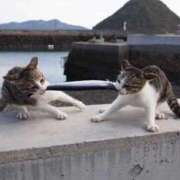 ヒメ日記 2025/09/17 09:01 投稿 みやこ 奥様の実話 梅田店