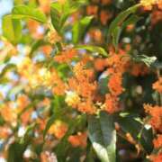 ヒメ日記 2025/09/27 10:22 投稿 みやこ 奥様の実話 梅田店