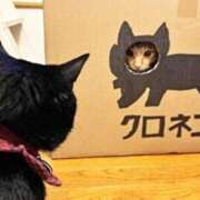 ヒメ日記 2025/09/27 16:33 投稿 みやこ 奥様の実話 梅田店