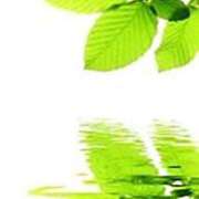 ヒメ日記 2025/10/16 11:05 投稿 みやこ 奥様の実話 梅田店