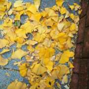 ヒメ日記 2025/10/29 08:47 投稿 みやこ 奥様の実話 梅田店