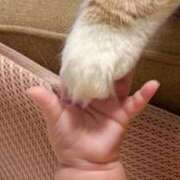 ヒメ日記 2025/11/04 10:25 投稿 みやこ 奥様の実話 梅田店