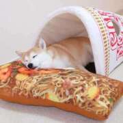 ヒメ日記 2025/11/13 19:10 投稿 みやこ 奥様の実話 梅田店