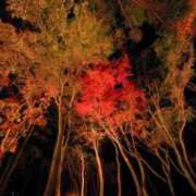 ヒメ日記 2025/11/20 17:48 投稿 みやこ 奥様の実話 梅田店