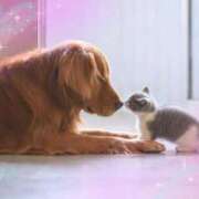 ヒメ日記 2025/12/13 10:31 投稿 みやこ 奥様の実話 梅田店