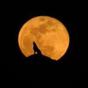 ヒメ日記 2026/01/03 19:01 投稿 みやこ 奥様の実話 梅田店