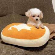 ヒメ日記 2026/01/07 08:35 投稿 みやこ 奥様の実話 梅田店