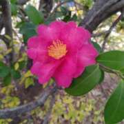 ヒメ日記 2026/01/10 10:05 投稿 みやこ 奥様の実話 梅田店