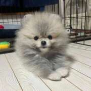 ヒメ日記 2026/03/07 10:33 投稿 みやこ 奥様の実話 梅田店