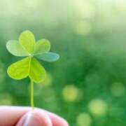 ヒメ日記 2026/03/12 10:41 投稿 みやこ 奥様の実話 梅田店