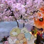 ヒメ日記 2026/03/23 07:48 投稿 みやこ 奥様の実話 梅田店