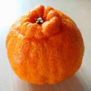 ヒメ日記 2026/03/26 11:19 投稿 みやこ 奥様の実話 梅田店