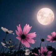 ヒメ日記 2026/04/02 19:18 投稿 みやこ 奥様の実話 梅田店