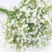 ヒメ日記 2026/04/04 10:21 投稿 みやこ 奥様の実話 梅田店