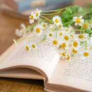 みやこ 尊敬する 奥様の実話 梅田店