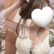 ヒメ日記 2025/05/19 17:22 投稿 芹澤　ゆい ソープランド蜜 人妻・美熟女専門店