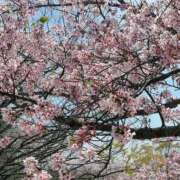 ヒメ日記 2026/03/30 21:26 投稿 瑛愛（えな） Miss&Mrs(ミス＆ミセス)