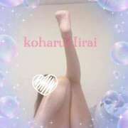 ヒメ日記 2025/03/22 16:16 投稿 平井こはる 五十路マダムエクスプレス豊橋店（カサブランカグループ）