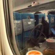 ヒメ日記 2025/05/22 15:46 投稿 平井こはる 五十路マダムエクスプレス豊橋店（カサブランカグループ）