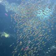 ヒメ日記 2025/07/25 20:23 投稿 卯月 香里☆フェロモンの集大成！ MARVELOUS