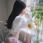 ヒメ日記 2024/12/11 08:14 投稿 アリス/Alice 英國屋（金津園）