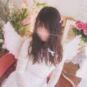 ヒメ日記 2025/01/11 08:14 投稿 アリス/Alice 英國屋（金津園）