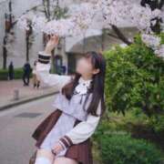 ヒメ日記 2025/04/02 07:04 投稿 アリス/Alice 英國屋（金津園）