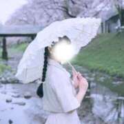 ヒメ日記 2025/04/11 12:35 投稿 アリス/Alice 英國屋（金津園）