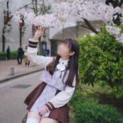 ヒメ日記 2025/04/15 18:54 投稿 アリス/Alice 英國屋（金津園）