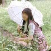 ヒメ日記 2025/07/16 13:44 投稿 アリス/Alice 英國屋（金津園）